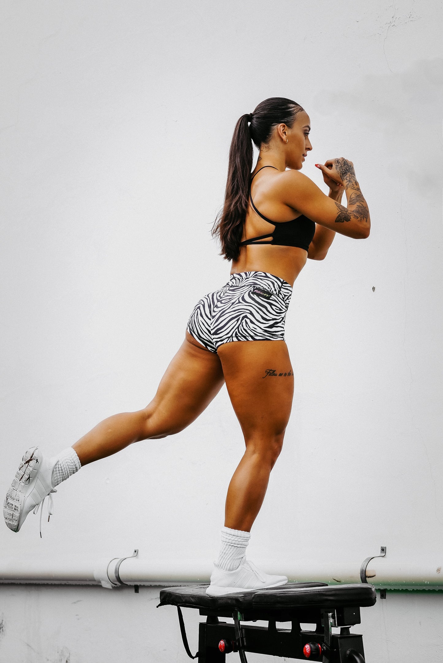 Zebralicious Shorts